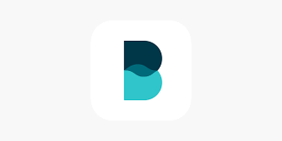 Is the Balance app any good?