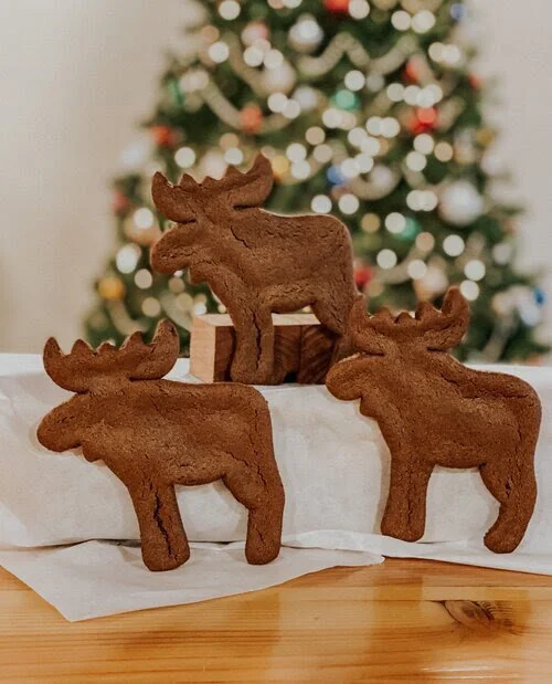 Gingerbread Moose