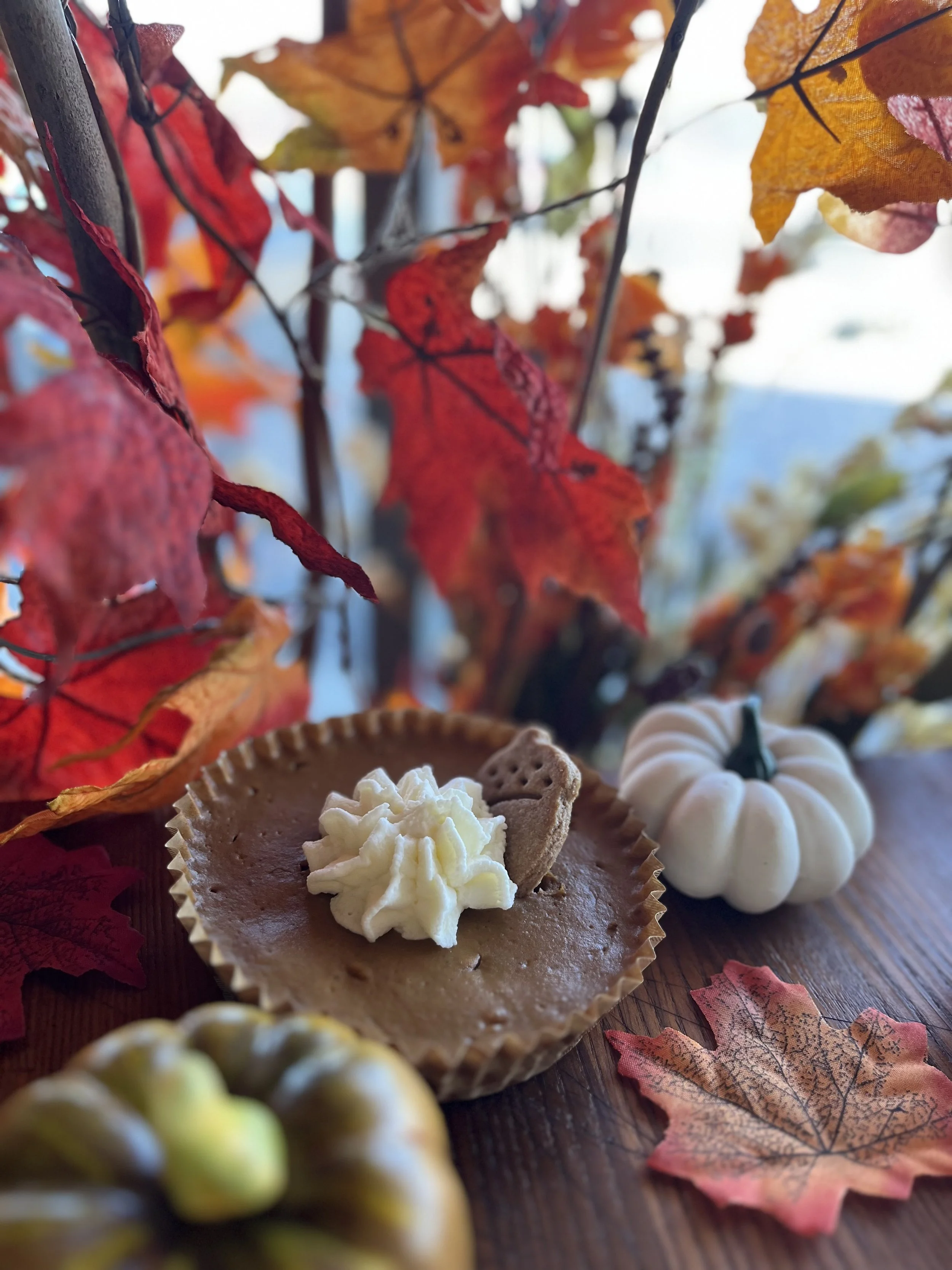 Sprouted Pumpkin Mini Pie