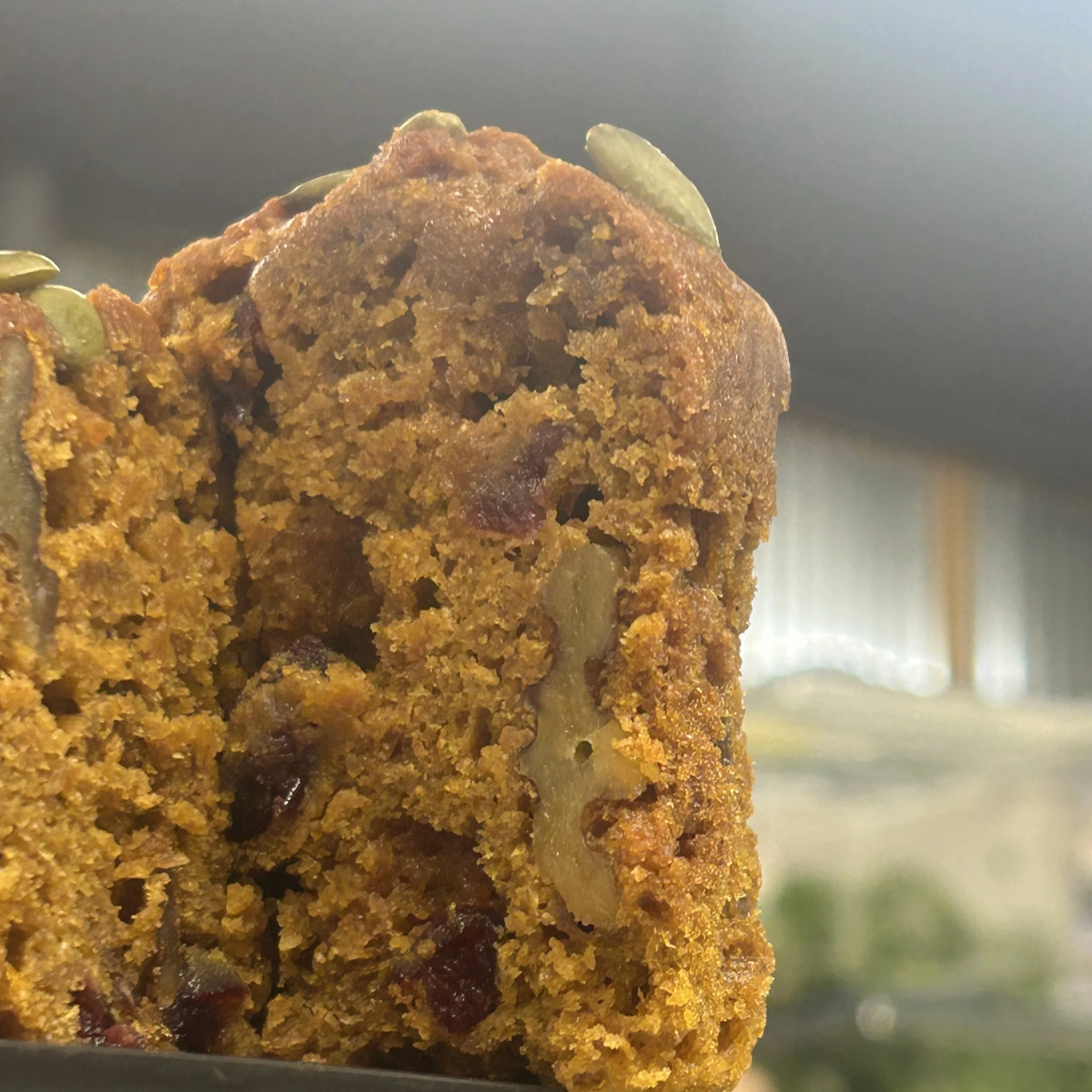 pumpkin cran walnut.jpeg