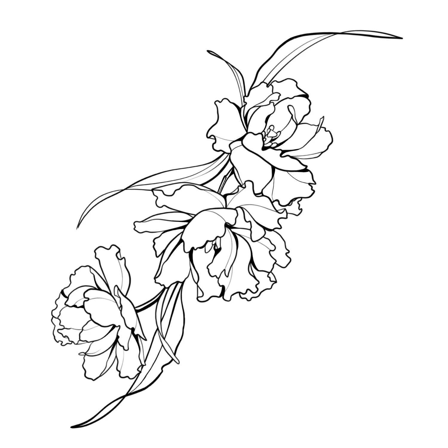 18. Parrot Tulips