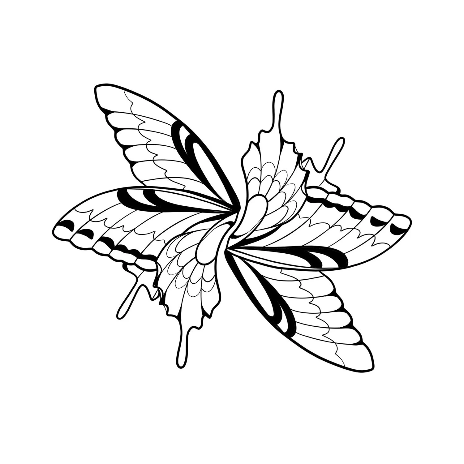 24. Pipevine Swallowtail