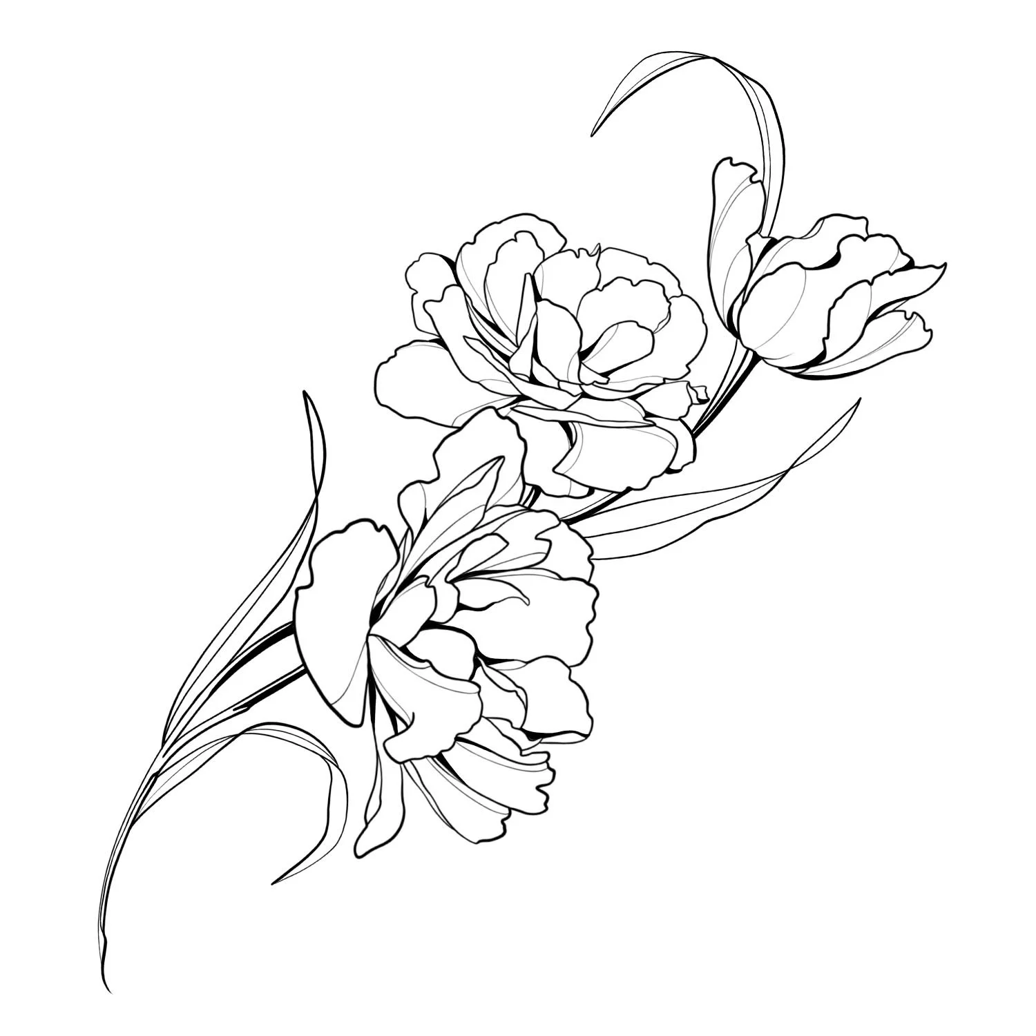 25. Peonies
