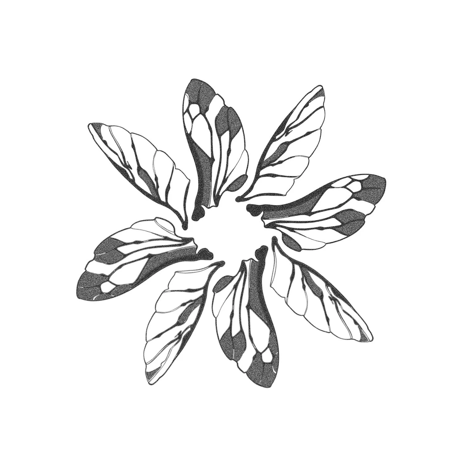 34. Sun Shadow: Butterfly Forewings