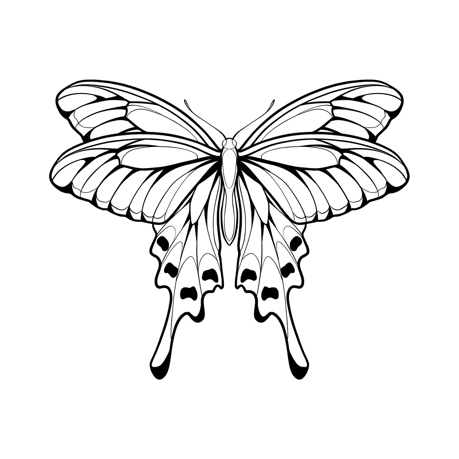 29. Windmill Butterfly