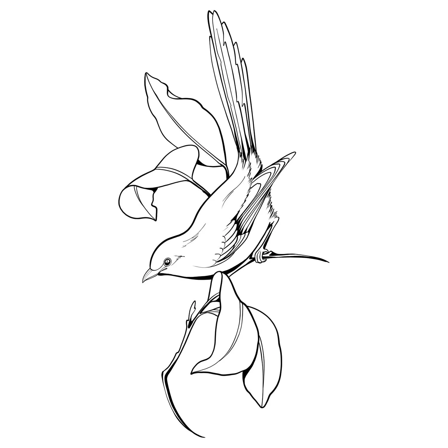 13. Branched Blue Flycatcher