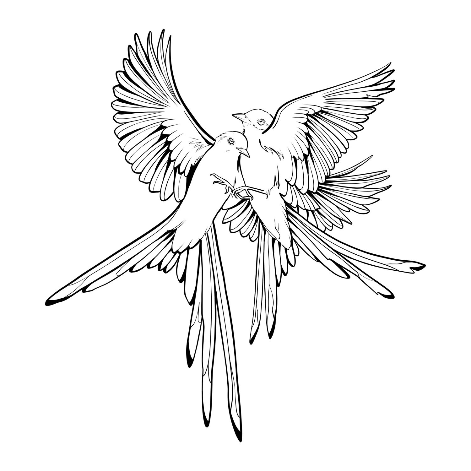 8. Flycatchers