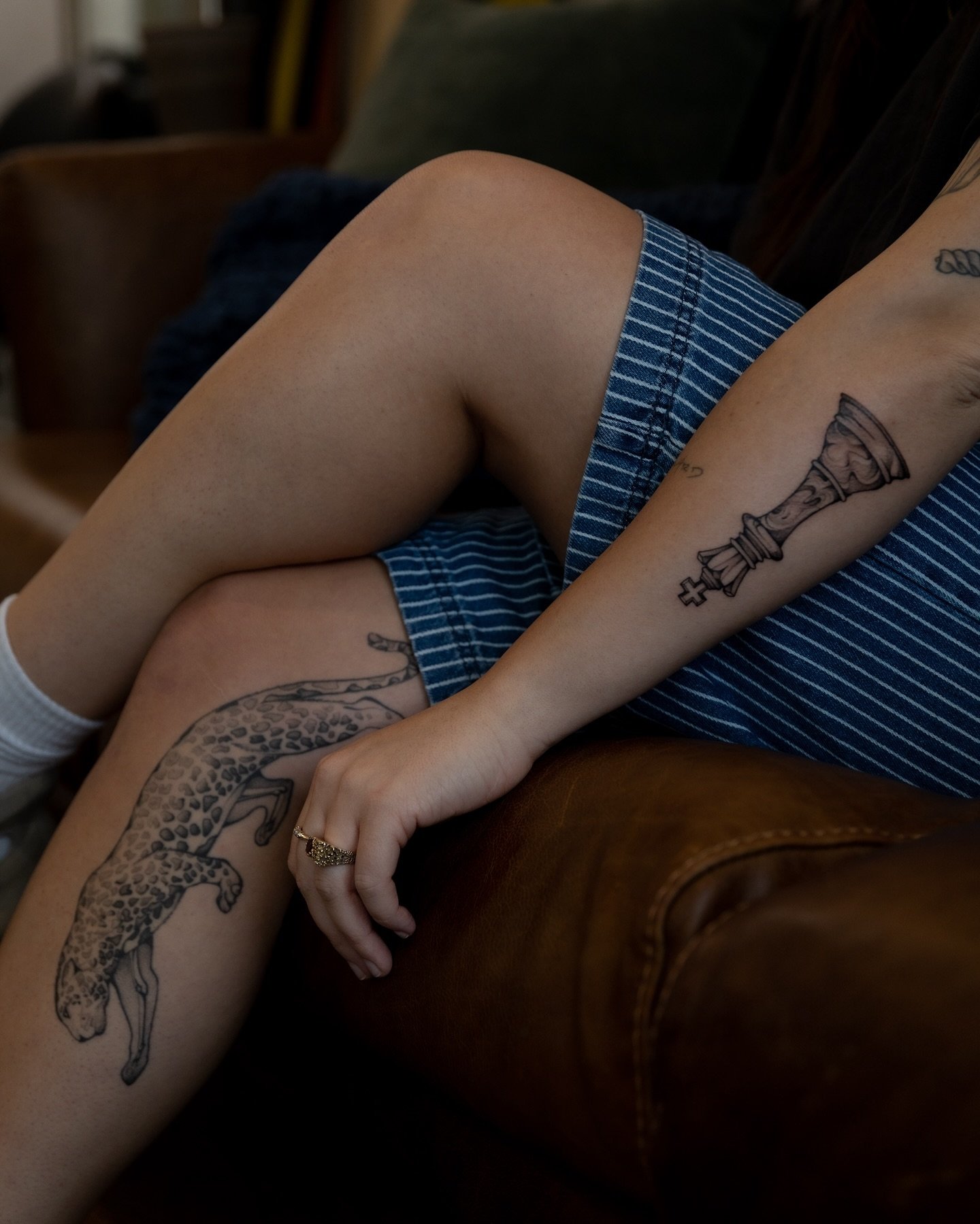 Healed Leopard Anatomy + Checkmate for Olivia ♟️