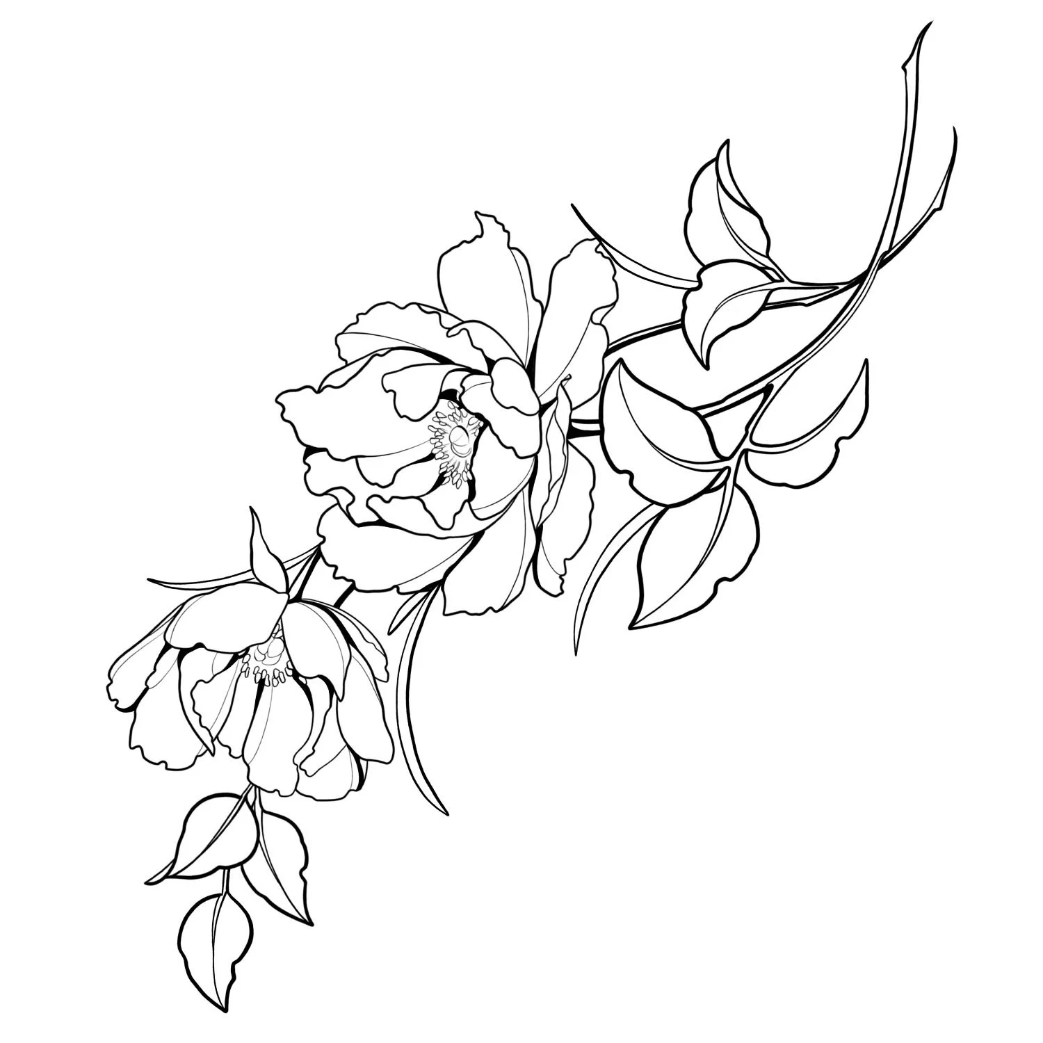 26. Scarlett Peonies