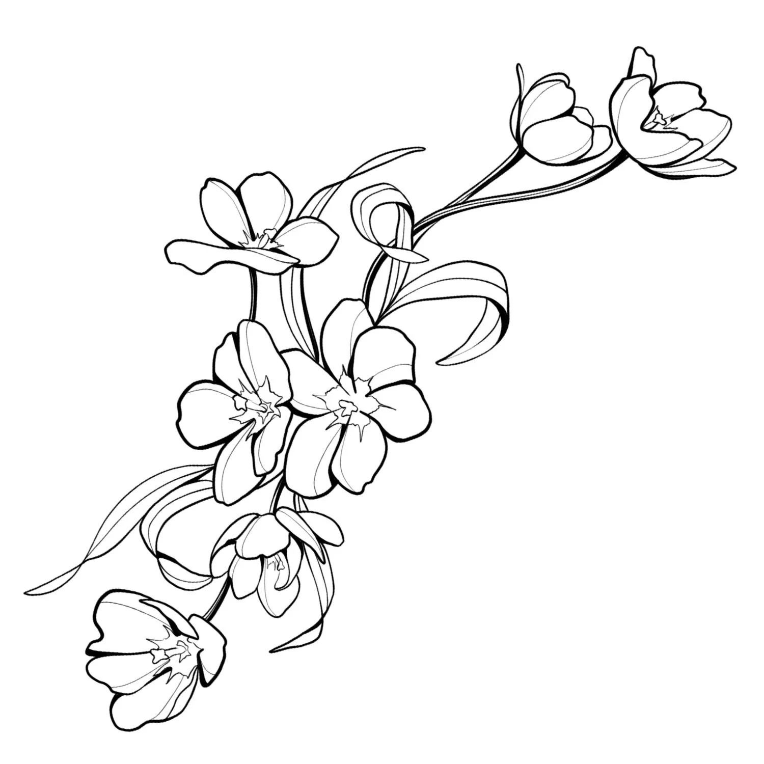 40. Red Tulips