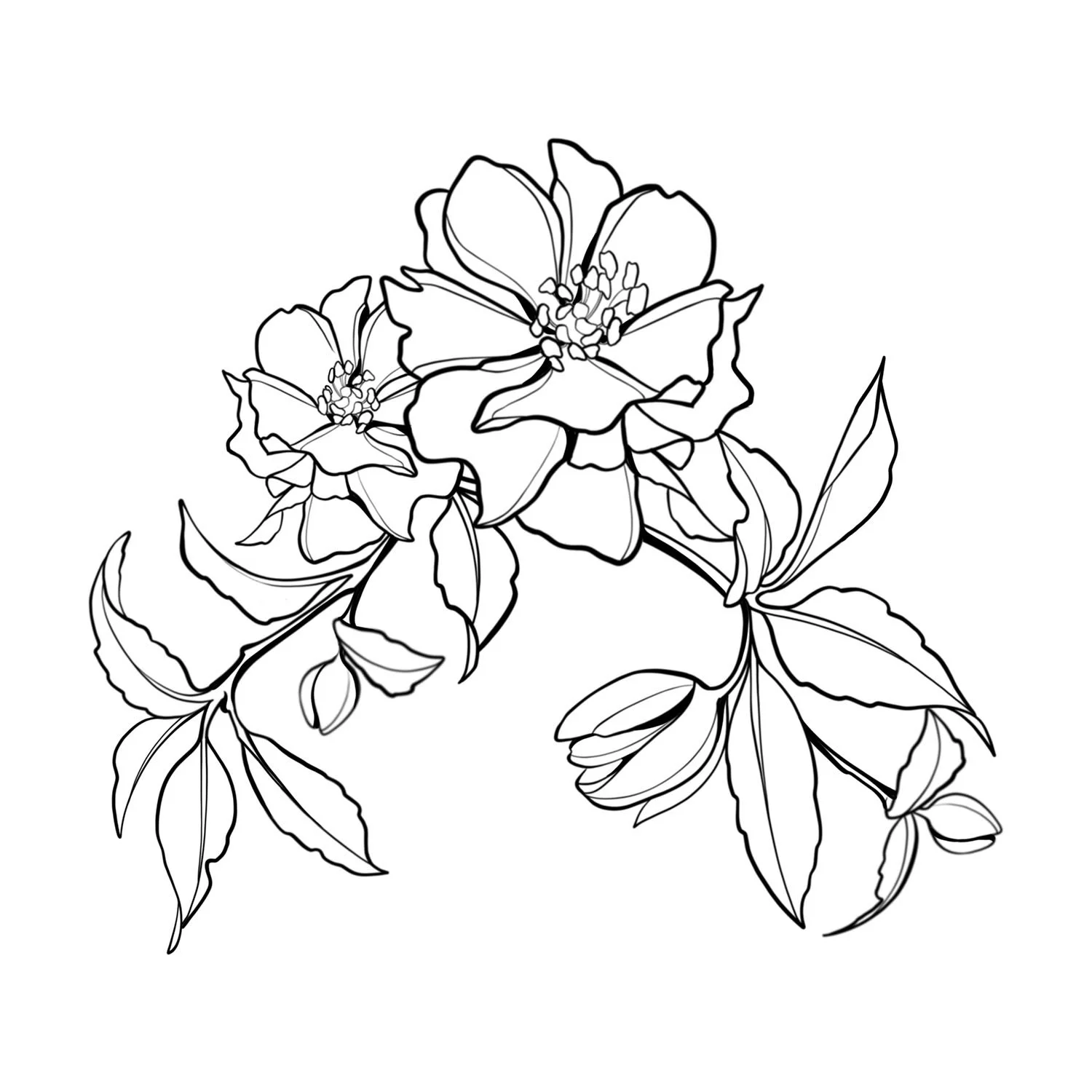 36. Lenten Rose