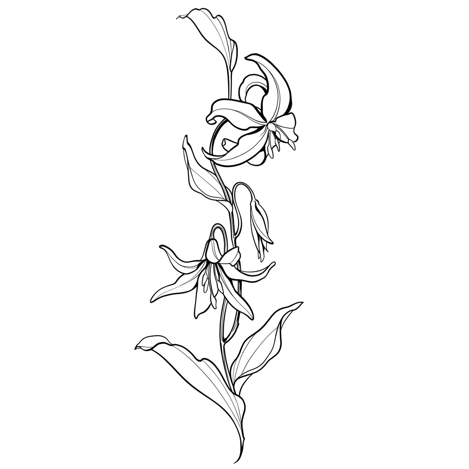 35. Fawn Lilies