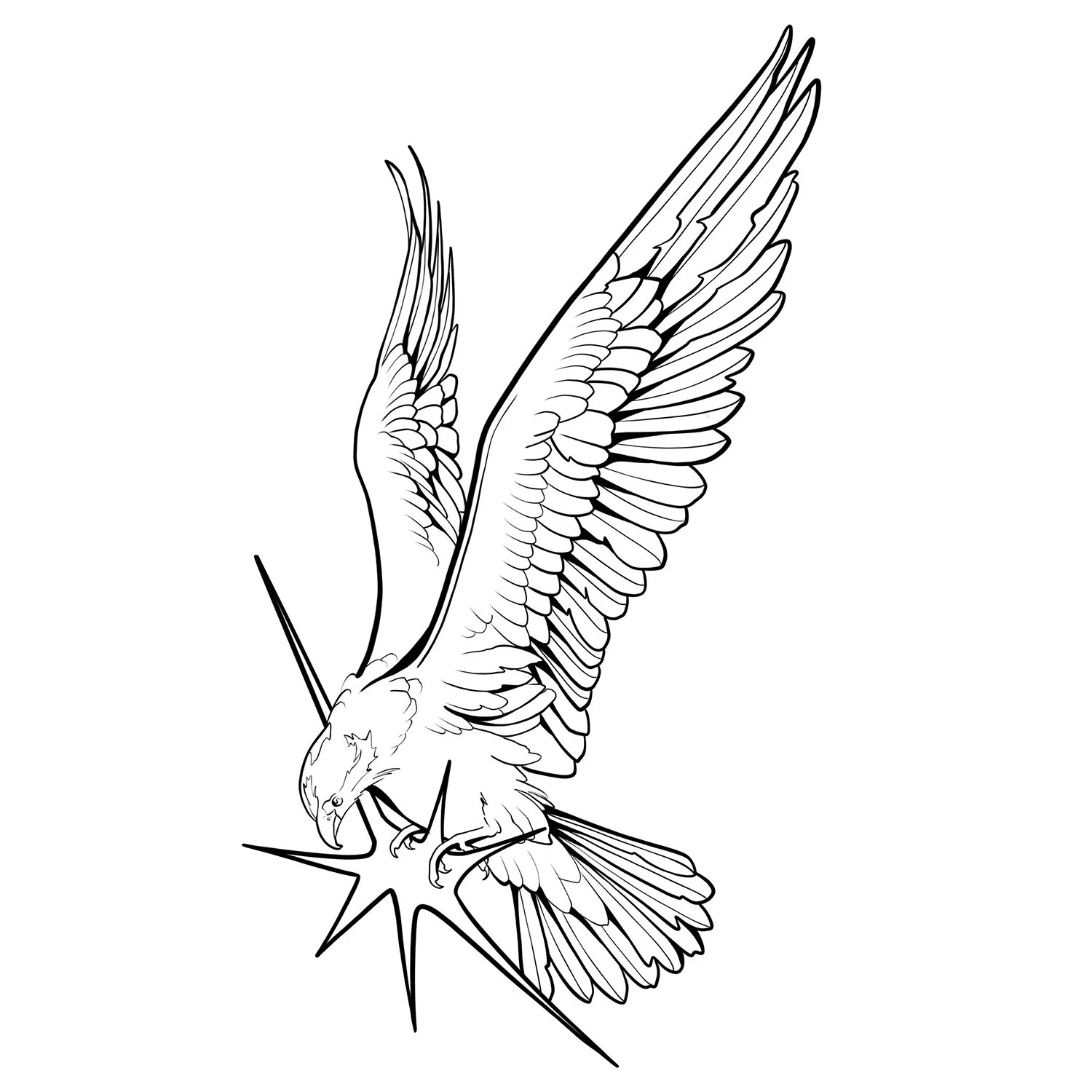 9. American Osprey