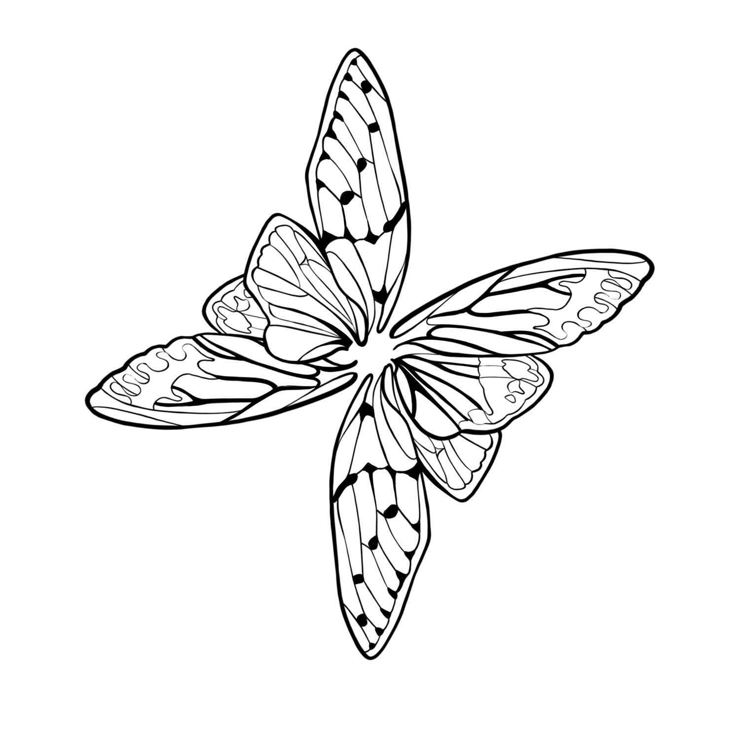 20. Cicada Wings