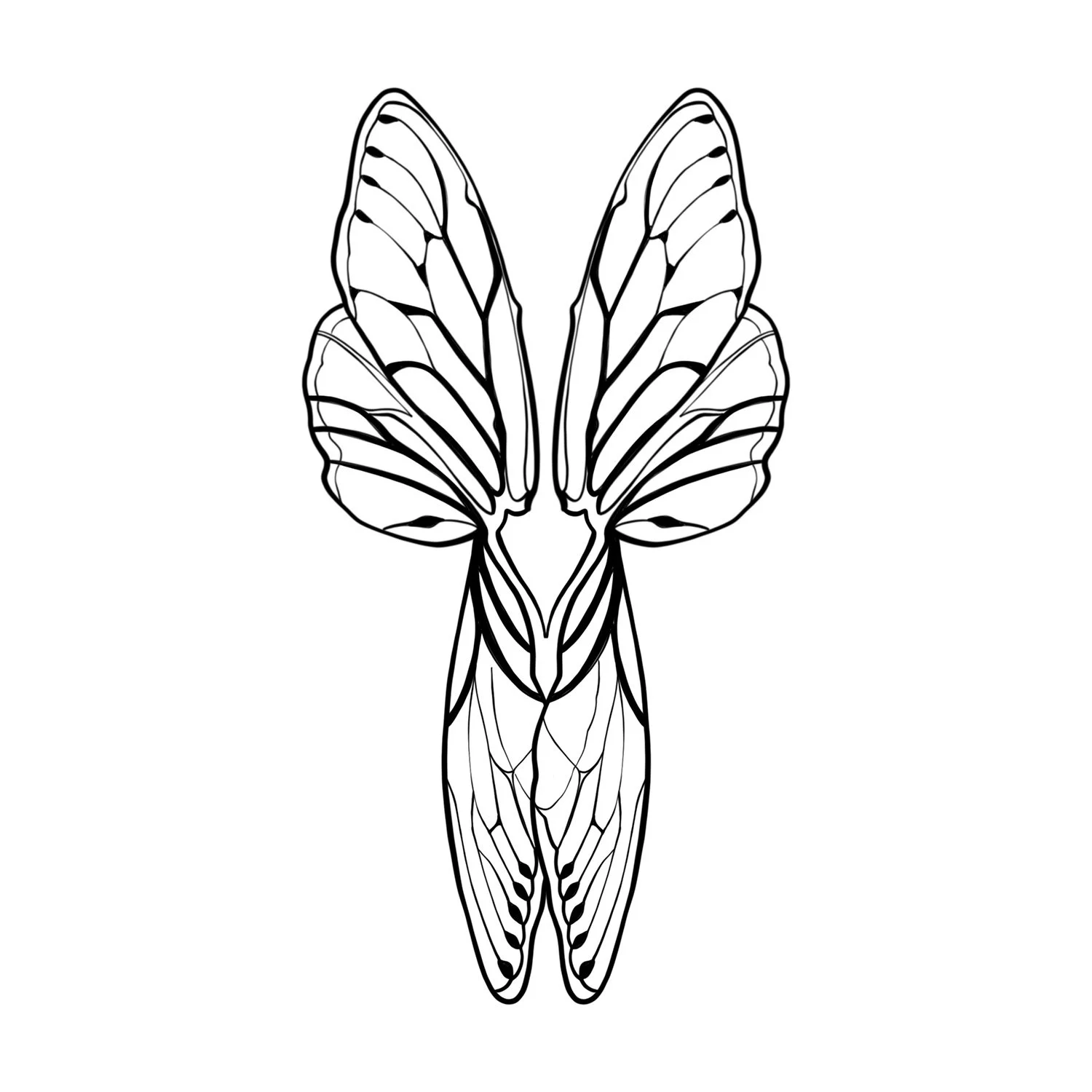 26. Cicada Wings