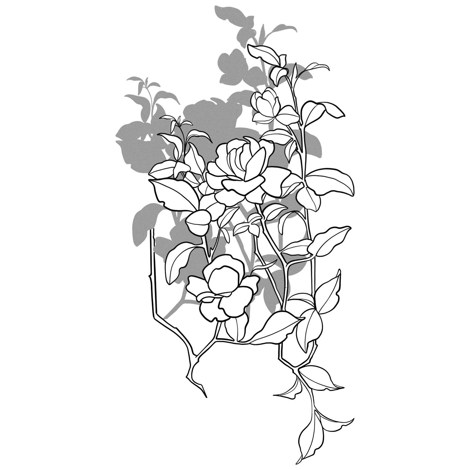 48. Sun Shadow: Rose Bush