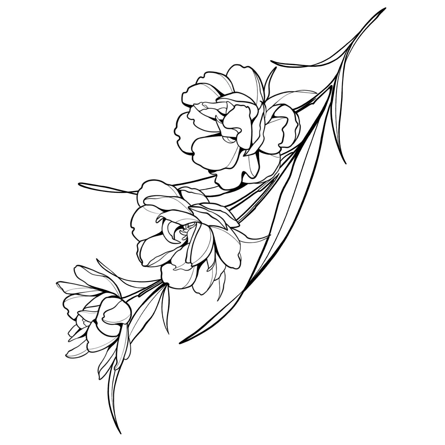 24. Peony Tulip