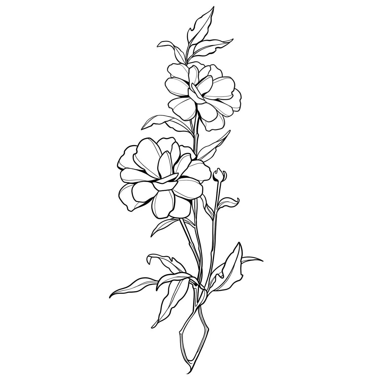 26. Persian Ranunculus