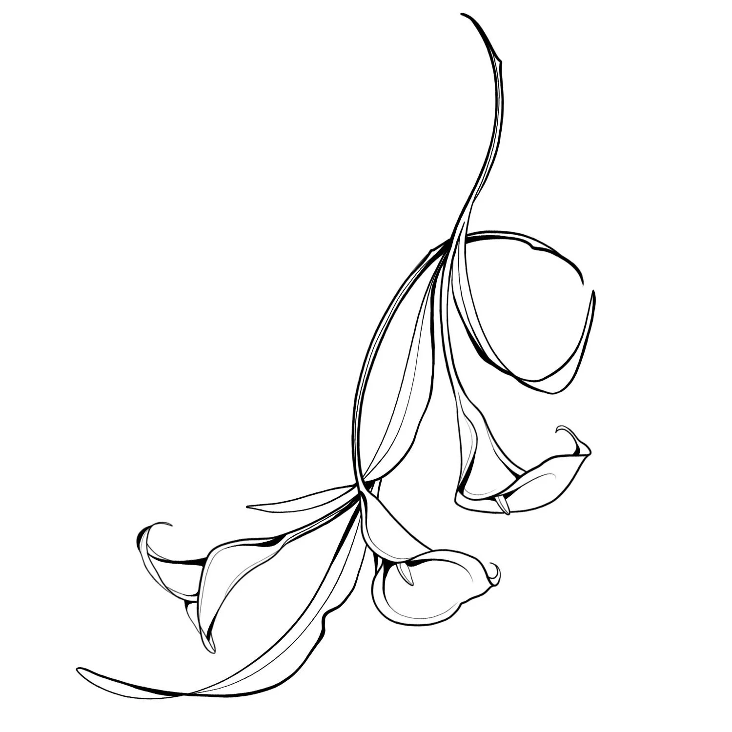 20. Calla Lilies