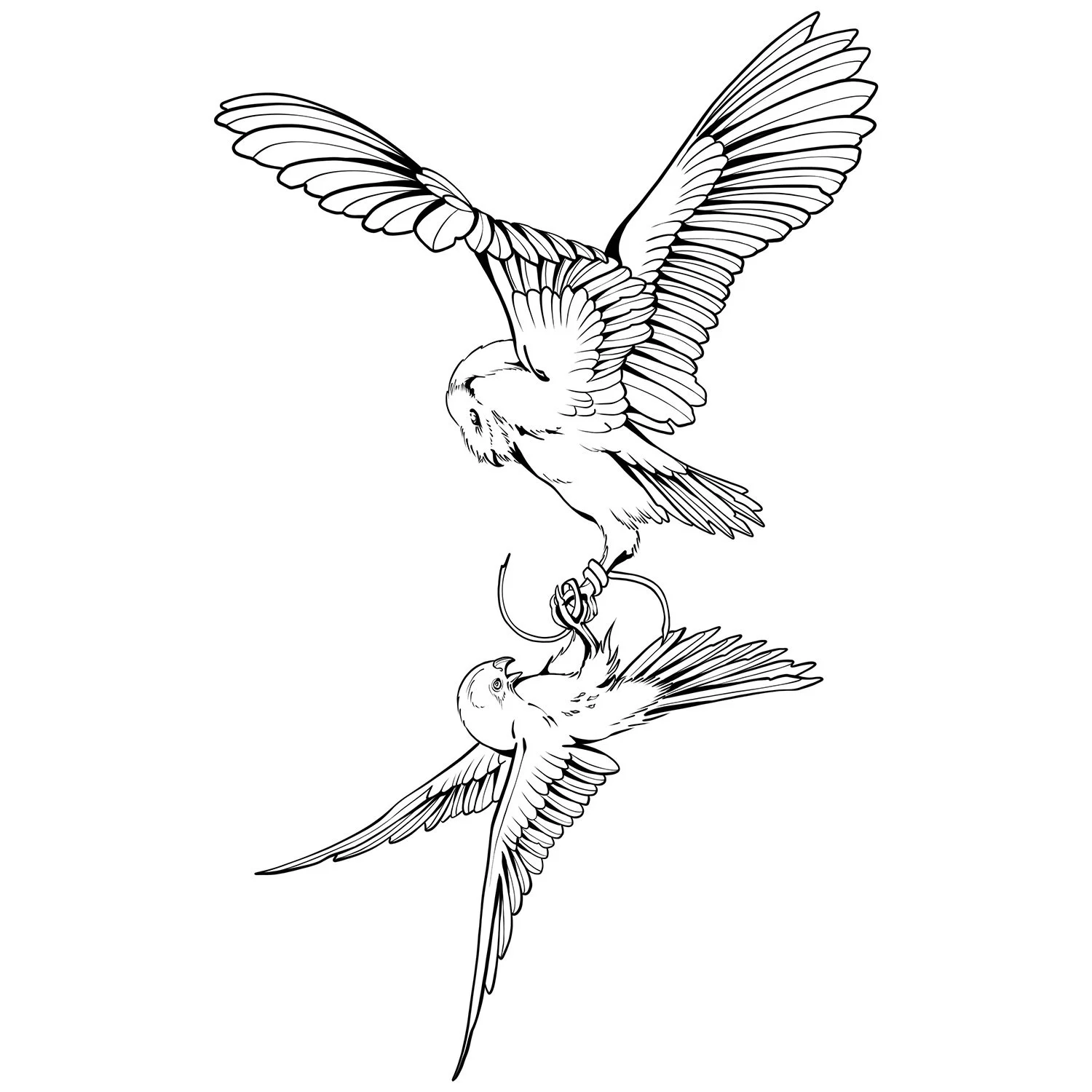 7. Owl & Kestrel Battle