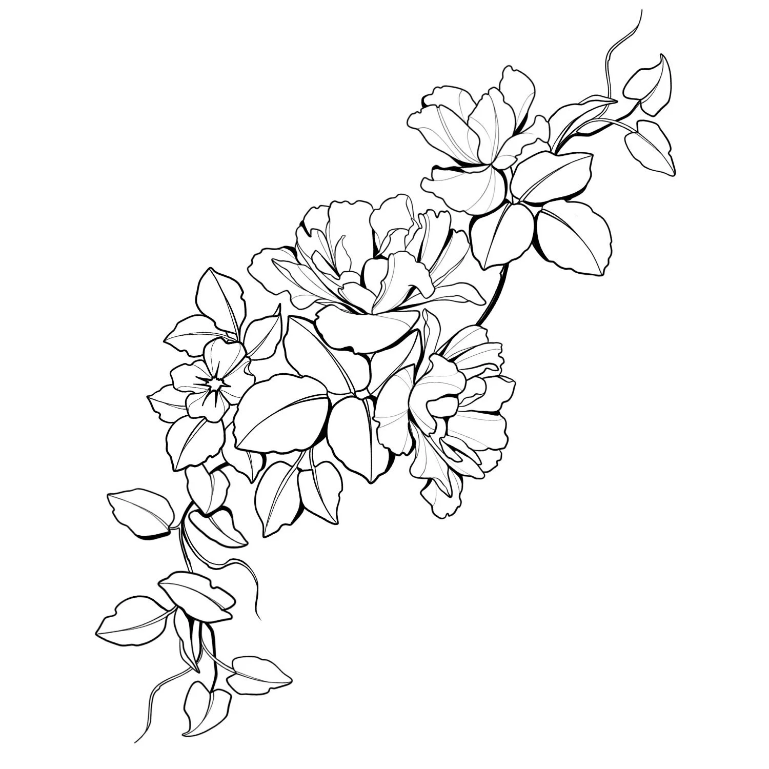43. Spring Climb