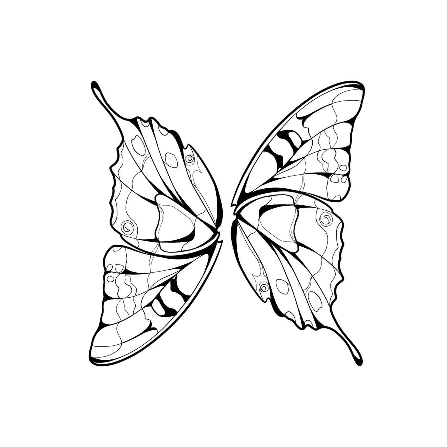 23. Old World Swallowtail