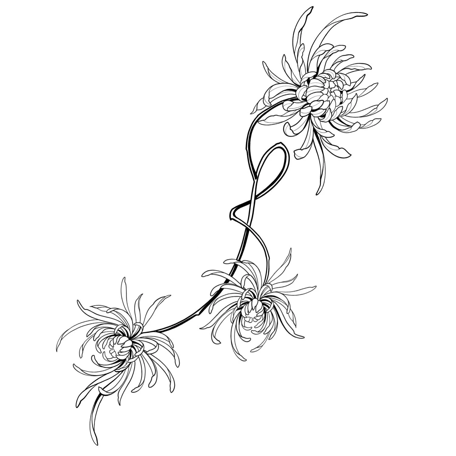 32. Chrysanthemum Trio