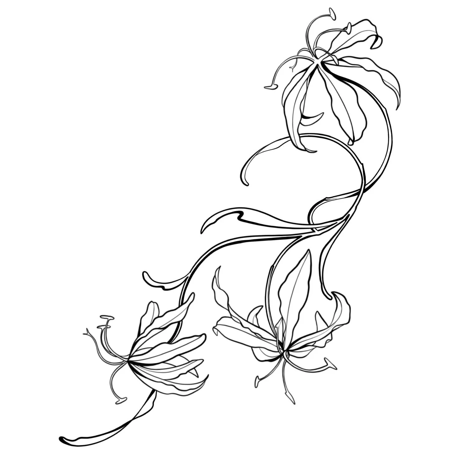30. Flame Lily