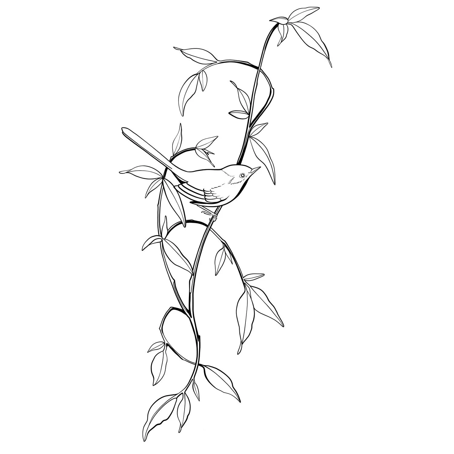 8. Leaf Prinia