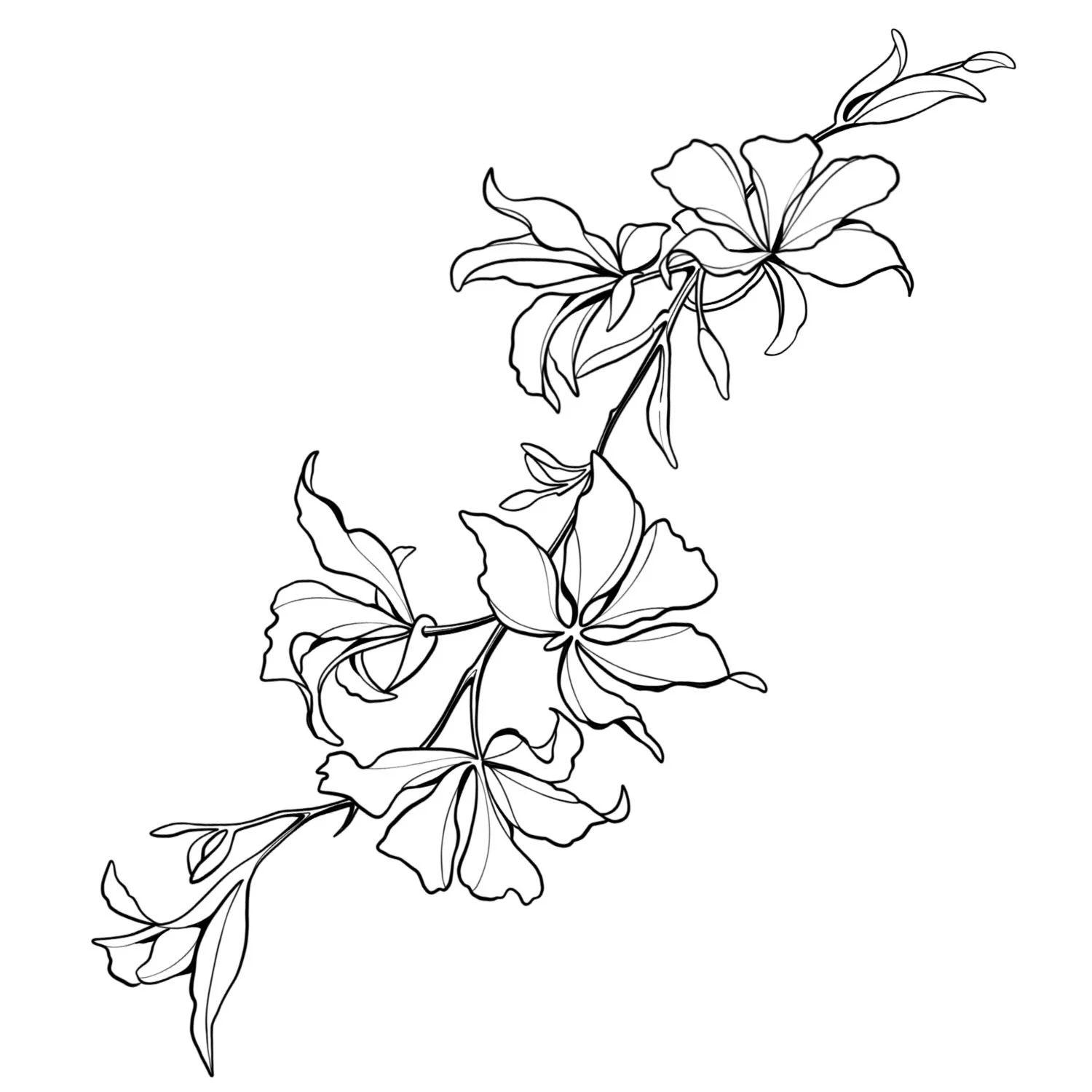 28. Orchid Branch