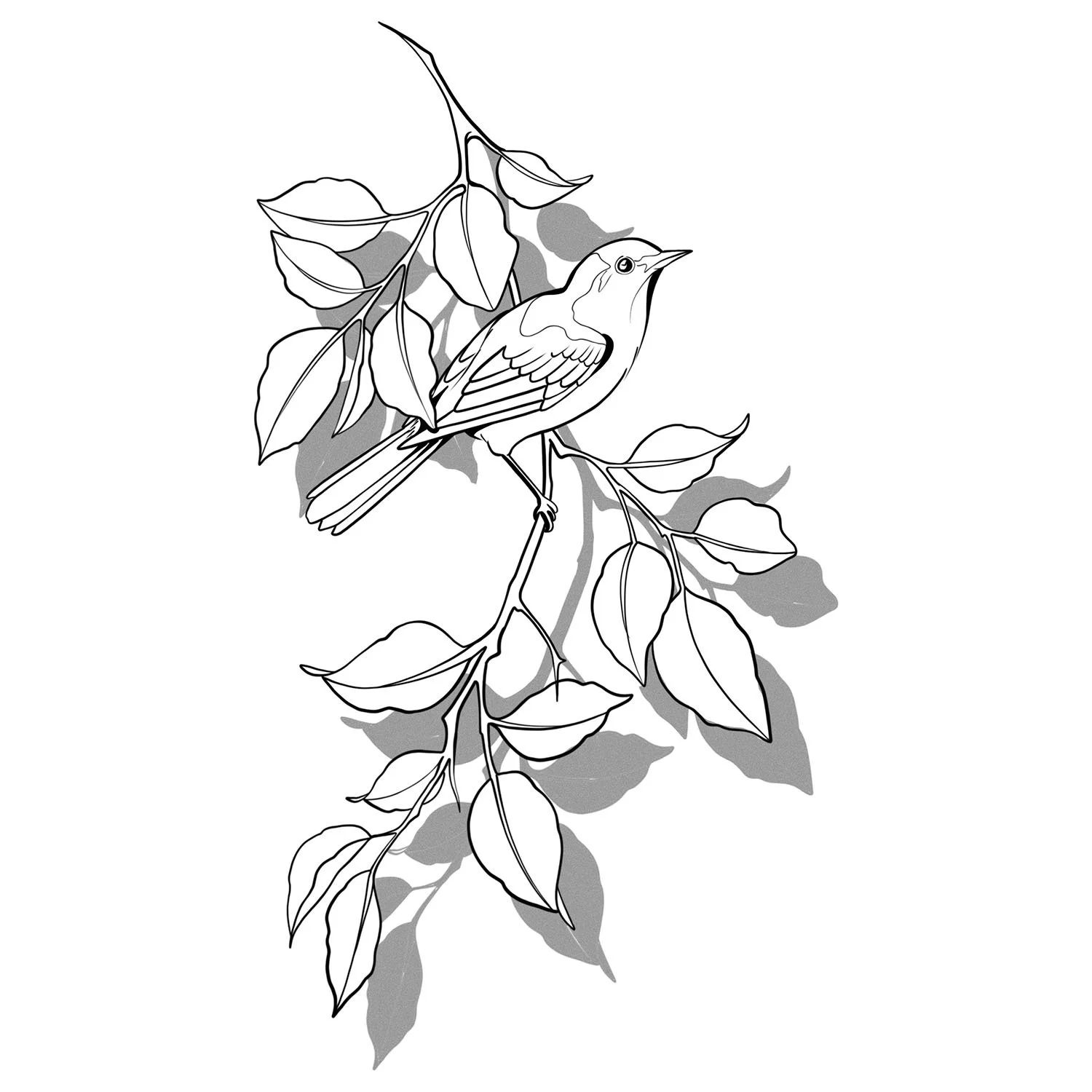 46. Sun Shadow: Branched Song Sparrow