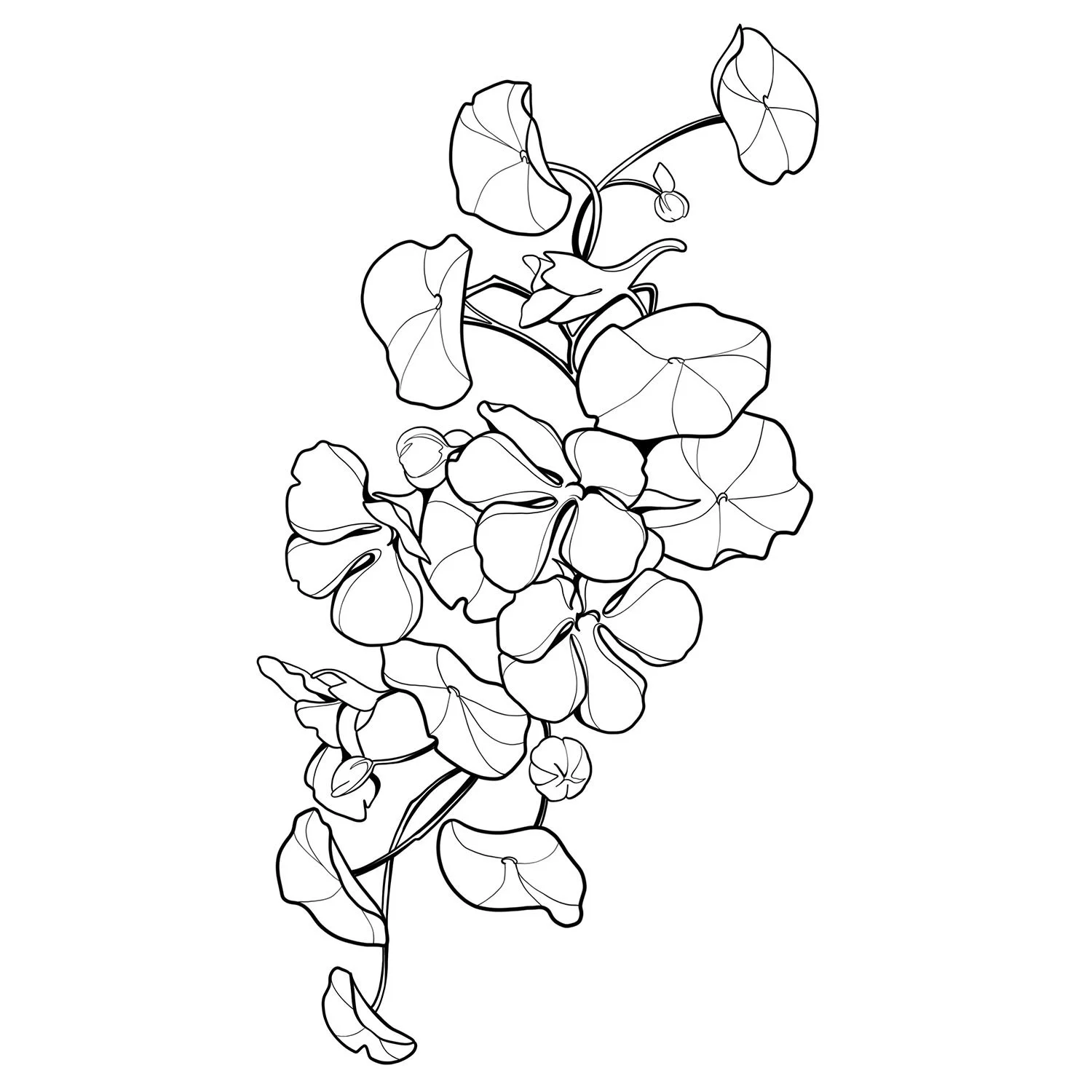39. Narcissus Bundle