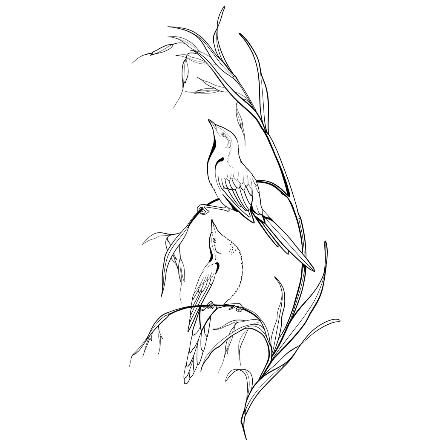 11. Prairie Warblers