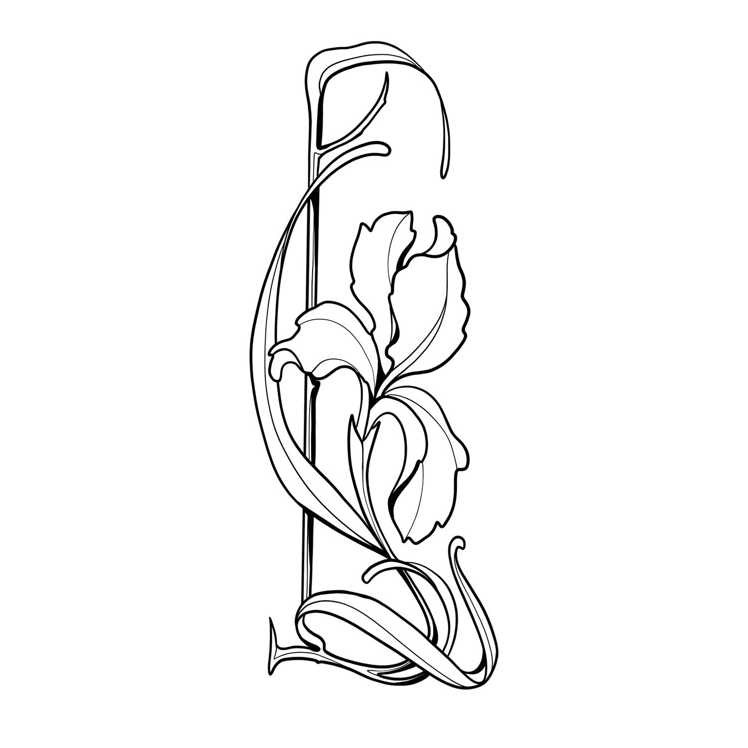 2. Iris Window