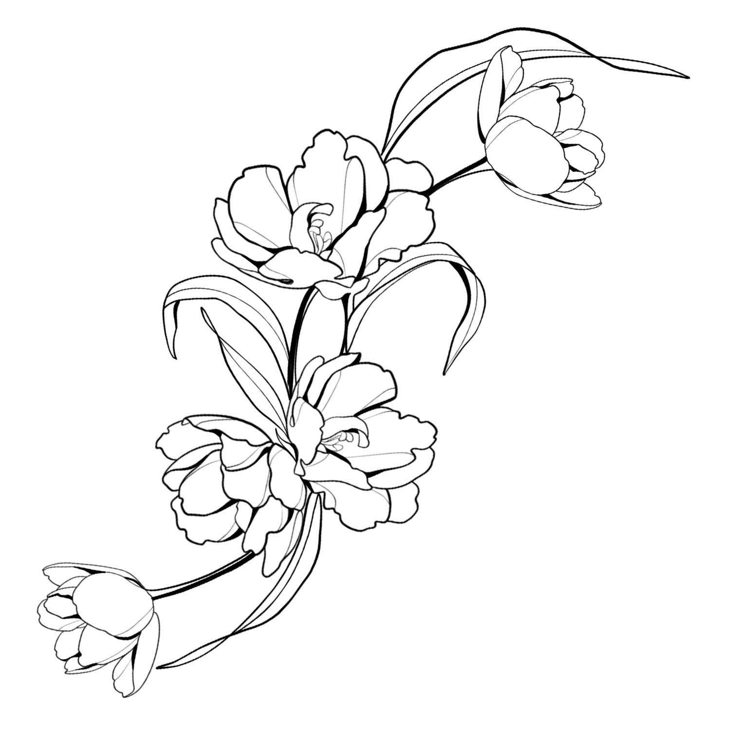 41. Parrot Tulipa