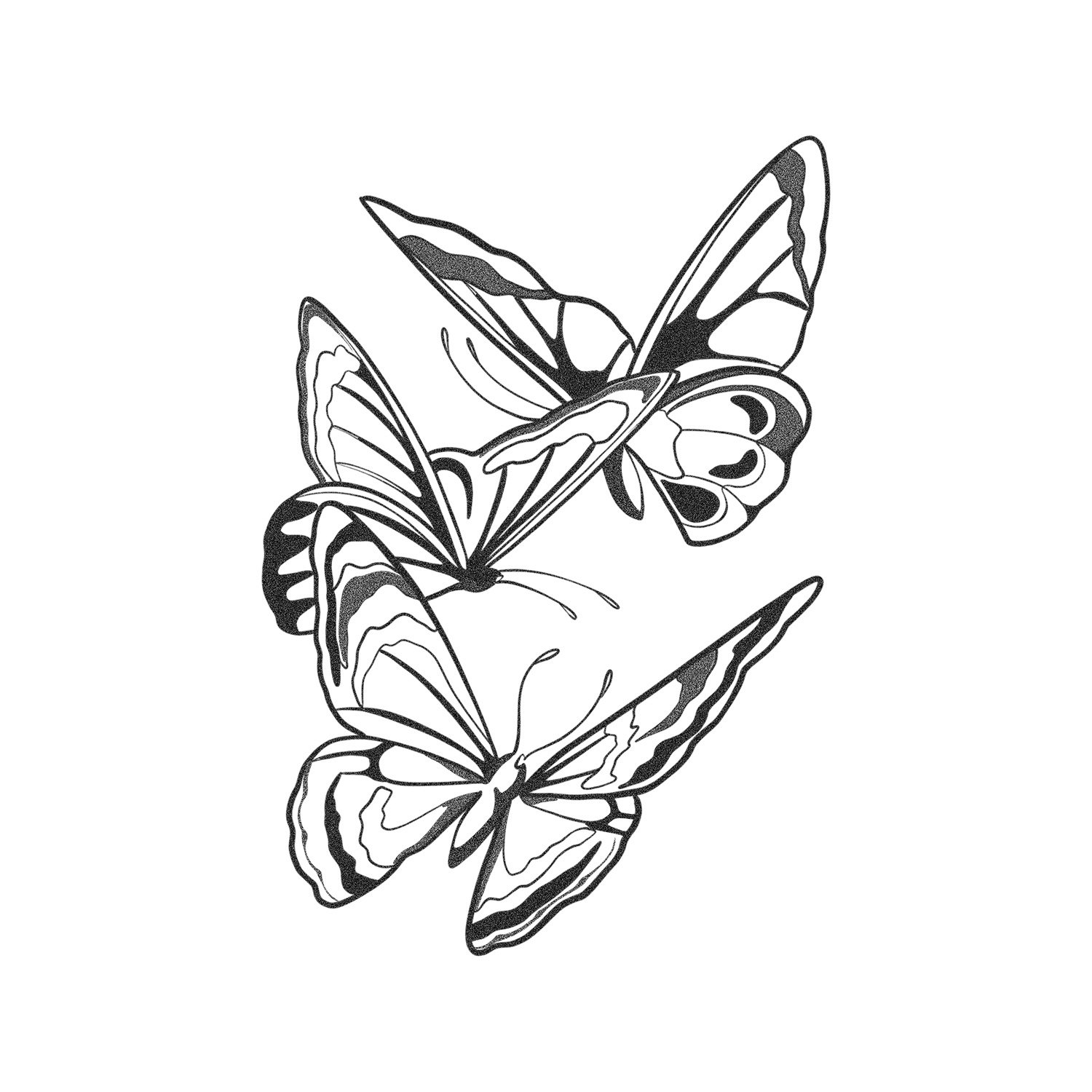35. Sun Shadow: Trifly
