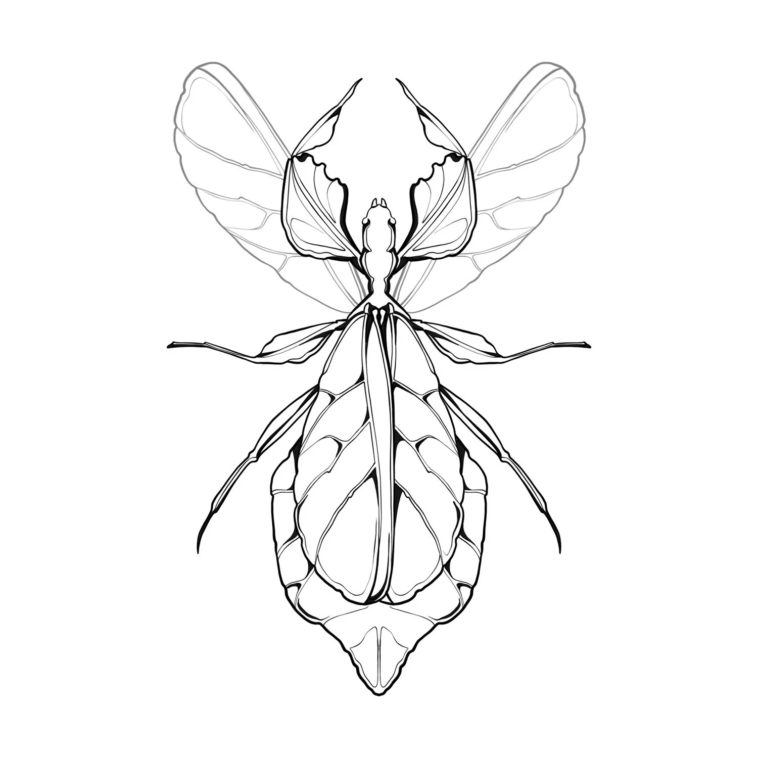 31. Leaf Insect