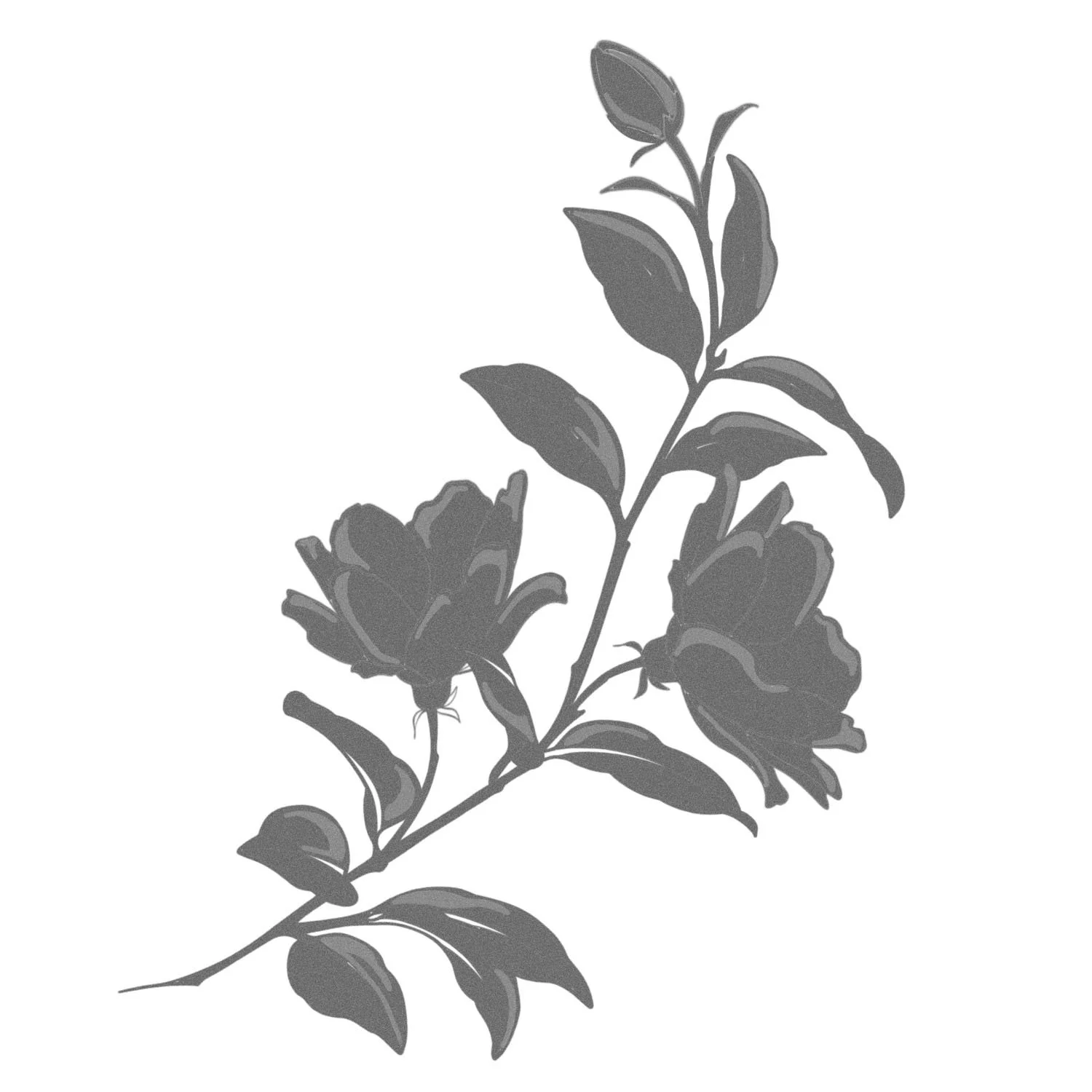 44. Sun Shadow: Poppy