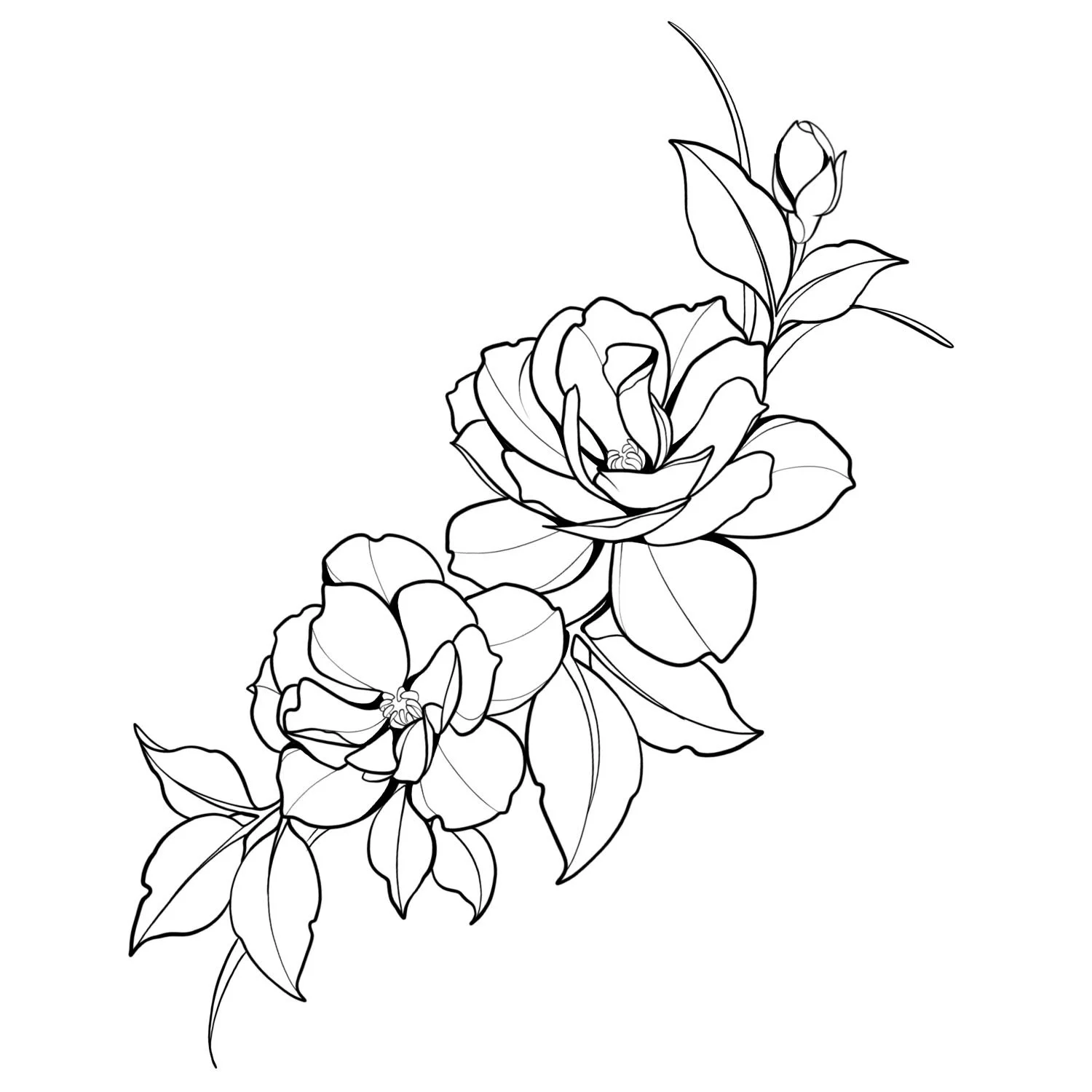 19. White Camellias