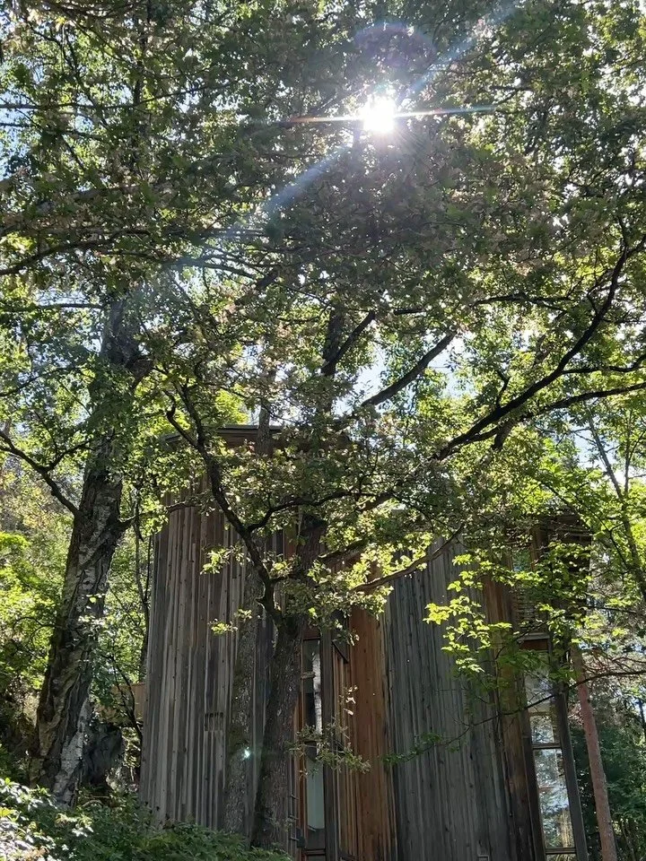 huset p&aring; Vinterbro 🫶🏽🍃🧺