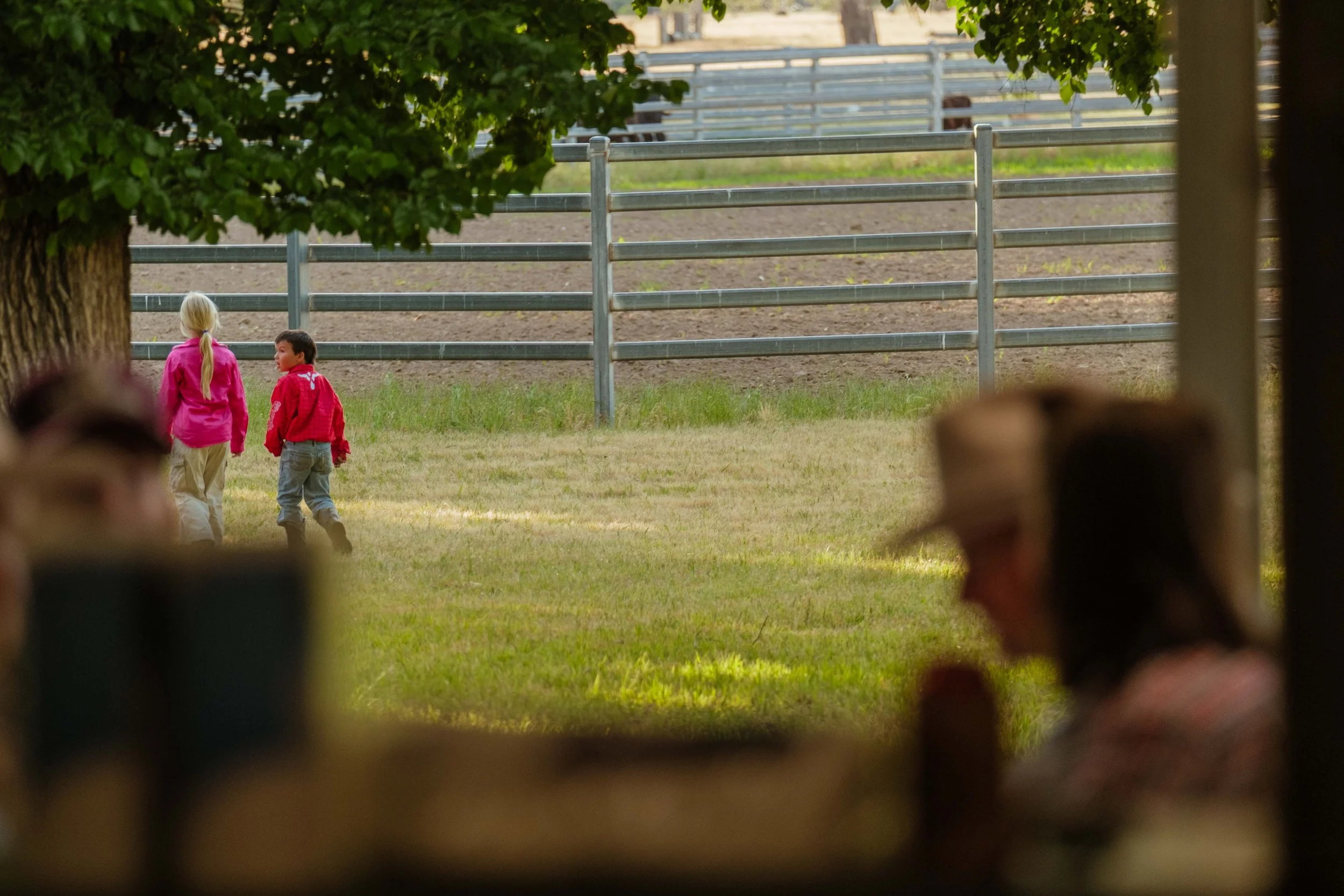 29.11.25 Gundagai Rodeo_FujiXT5_235.jpg