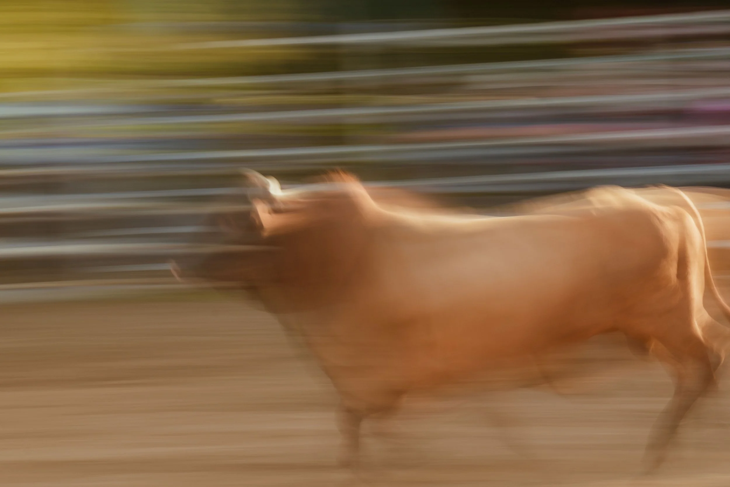 Copyright Dario Hardaker 2026