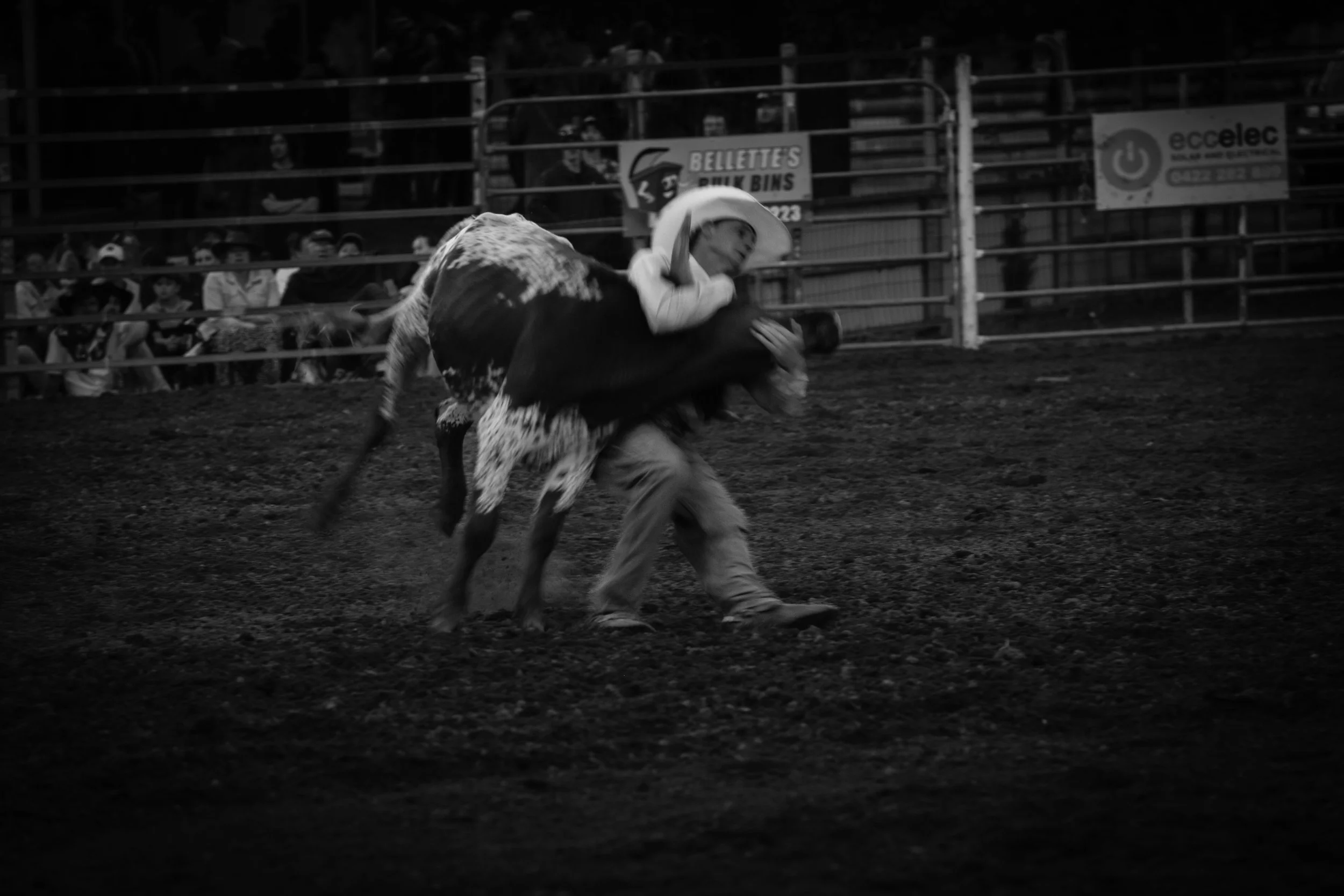 Copyright Dario Hardaker 2026