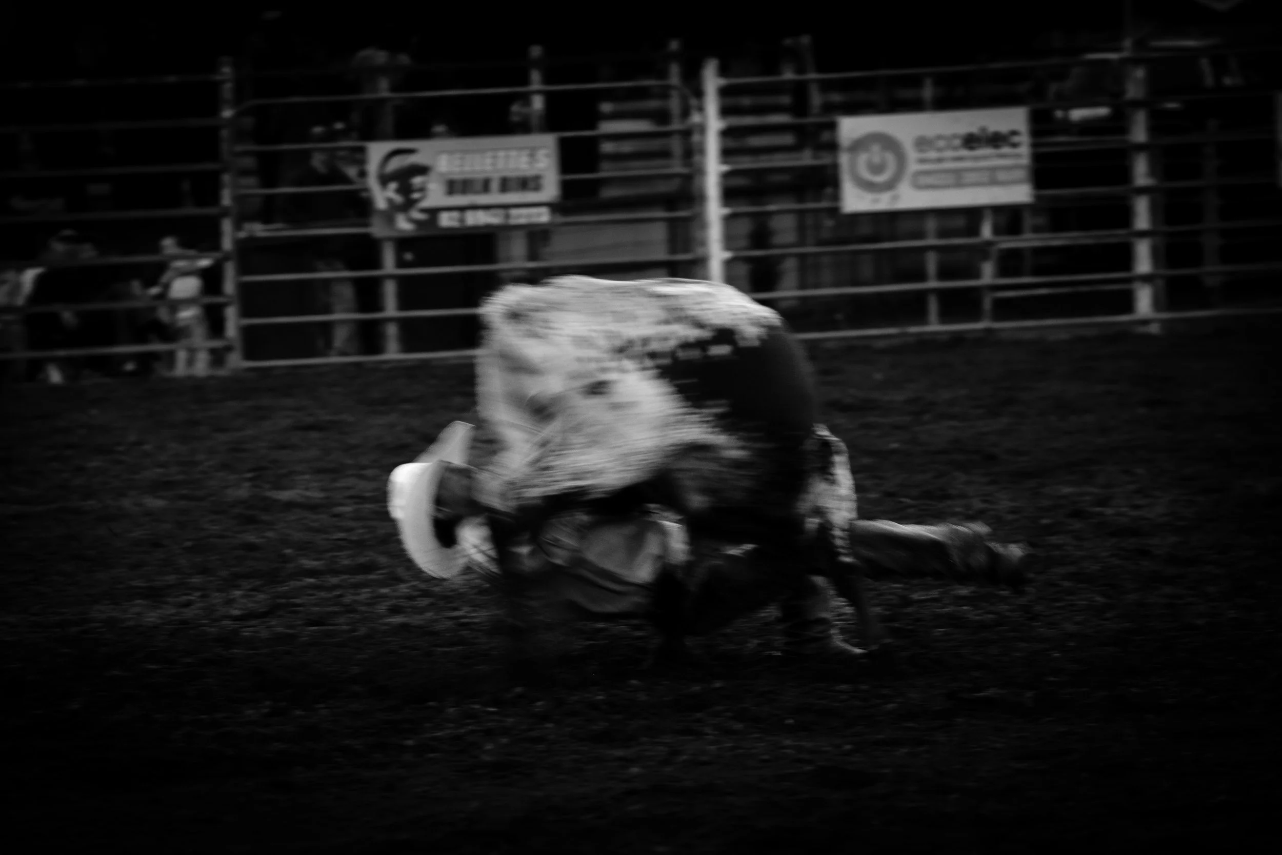 Copyright Dario Hardaker 2026