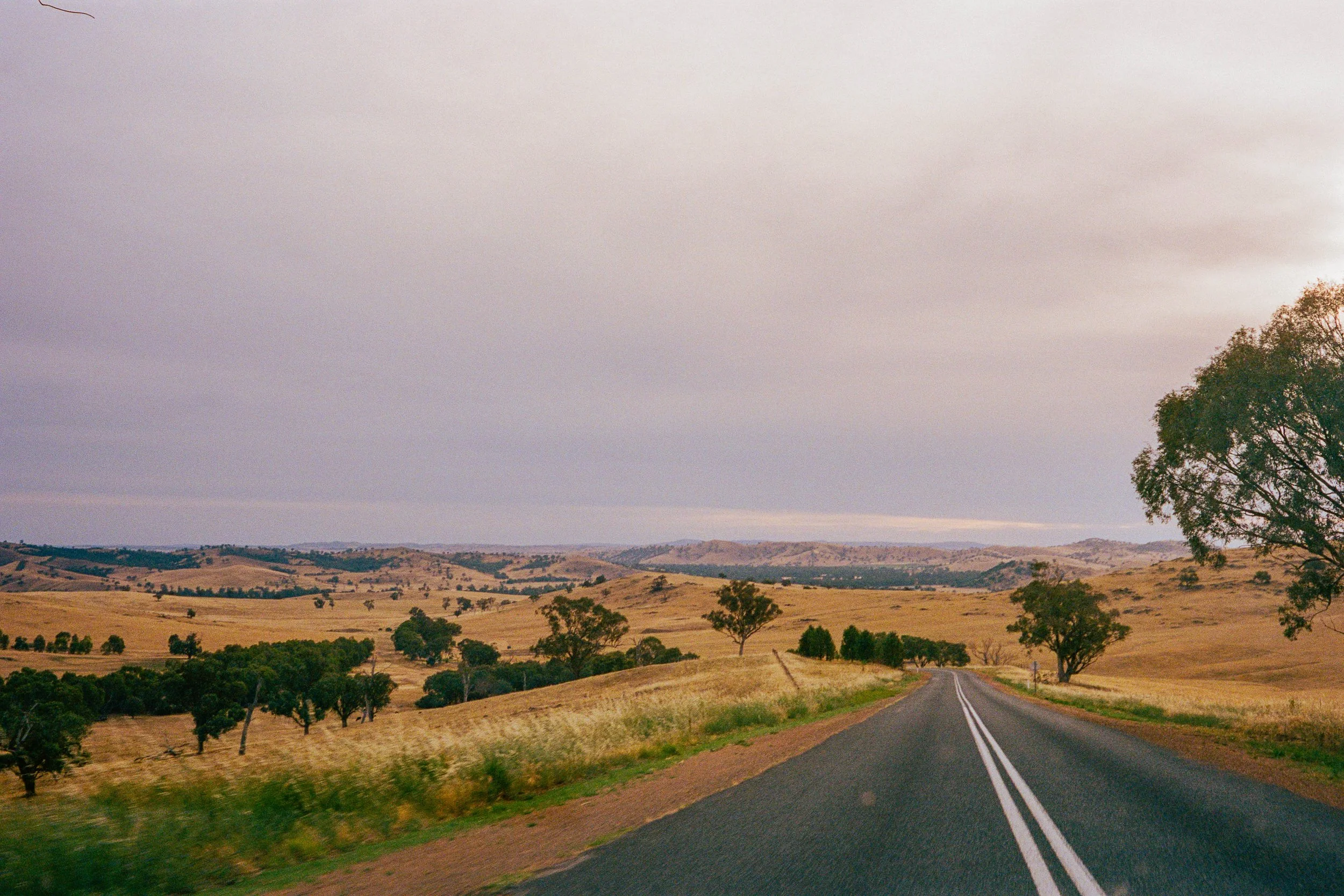 29.11.25 Leica M5 Kodak Portra 400_Manly, Gundagai Rodeo & Wagga Wagga_017.jpg