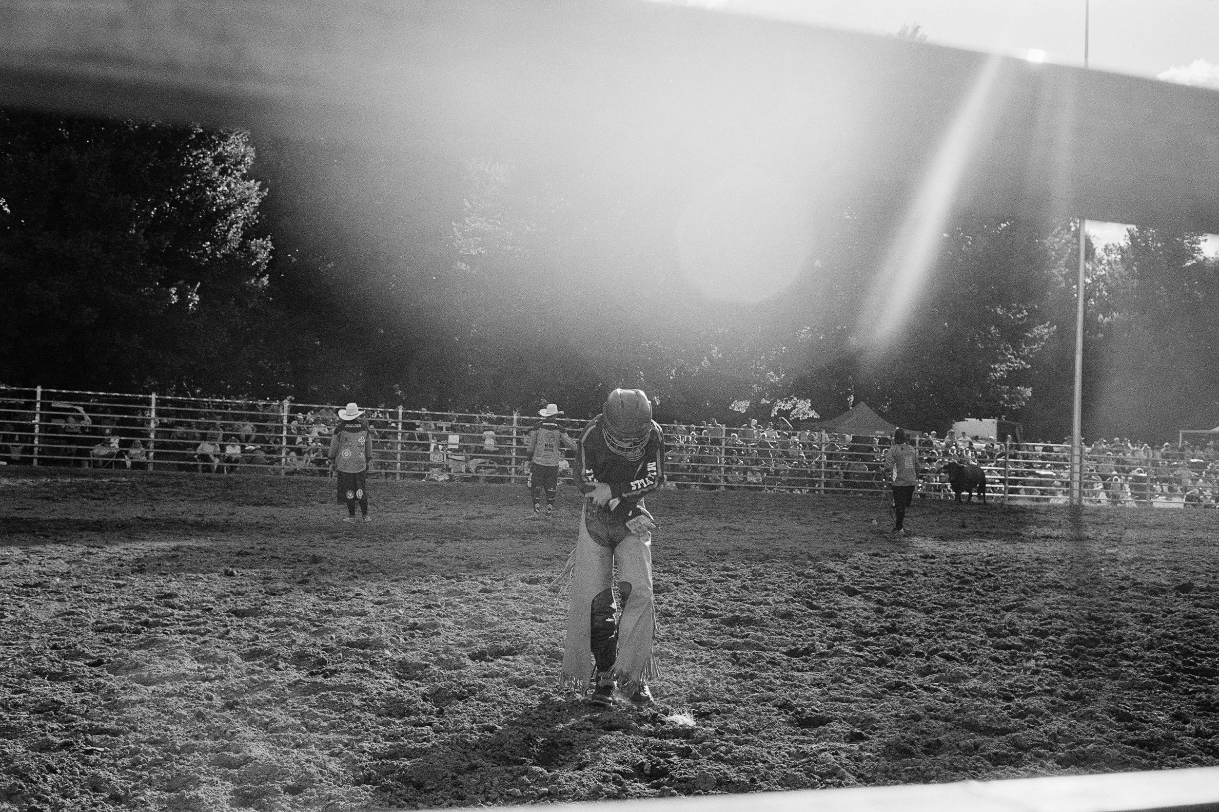 Copyright Dario Hardaker 2026