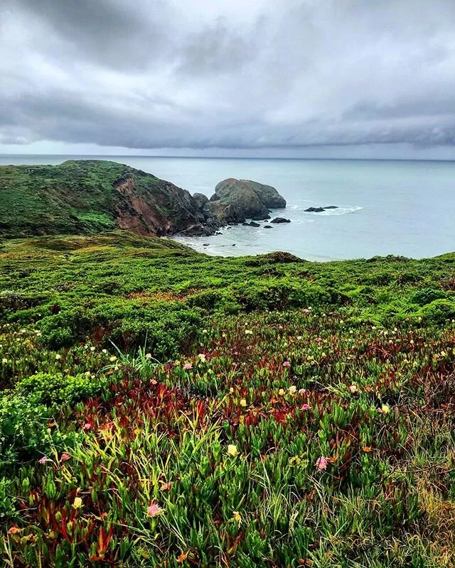 &quot;Nature does not hurry yet everything is accomplished&quot; &ndash; Lao Tzu
Right now we are being forced to slow down. To isolate. To social distance. To quarantine. And for many of us, life goes on. Work goes on. Relationships go on. This is o