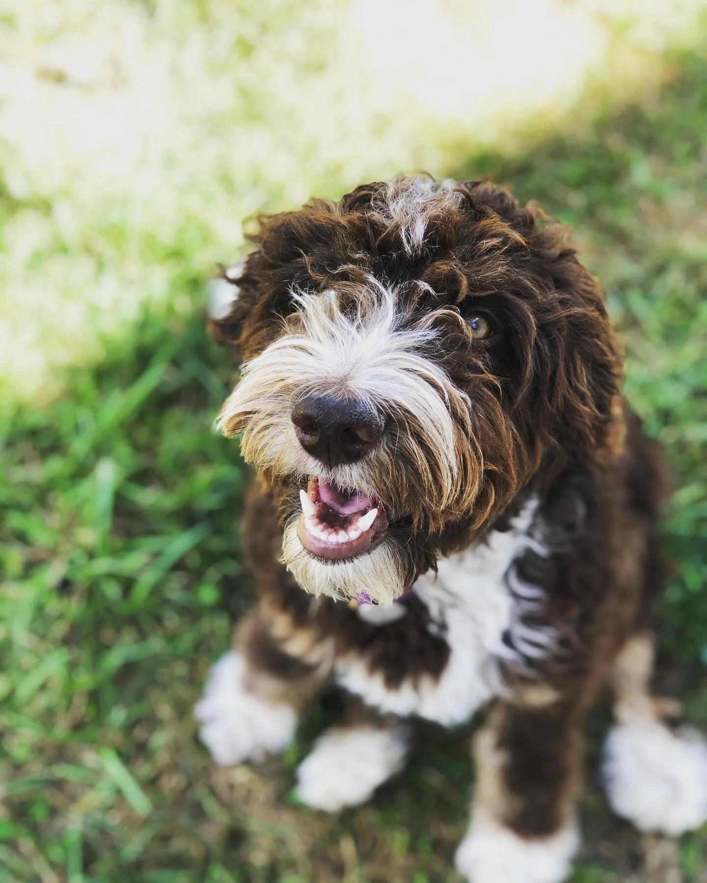 bella4.jpg