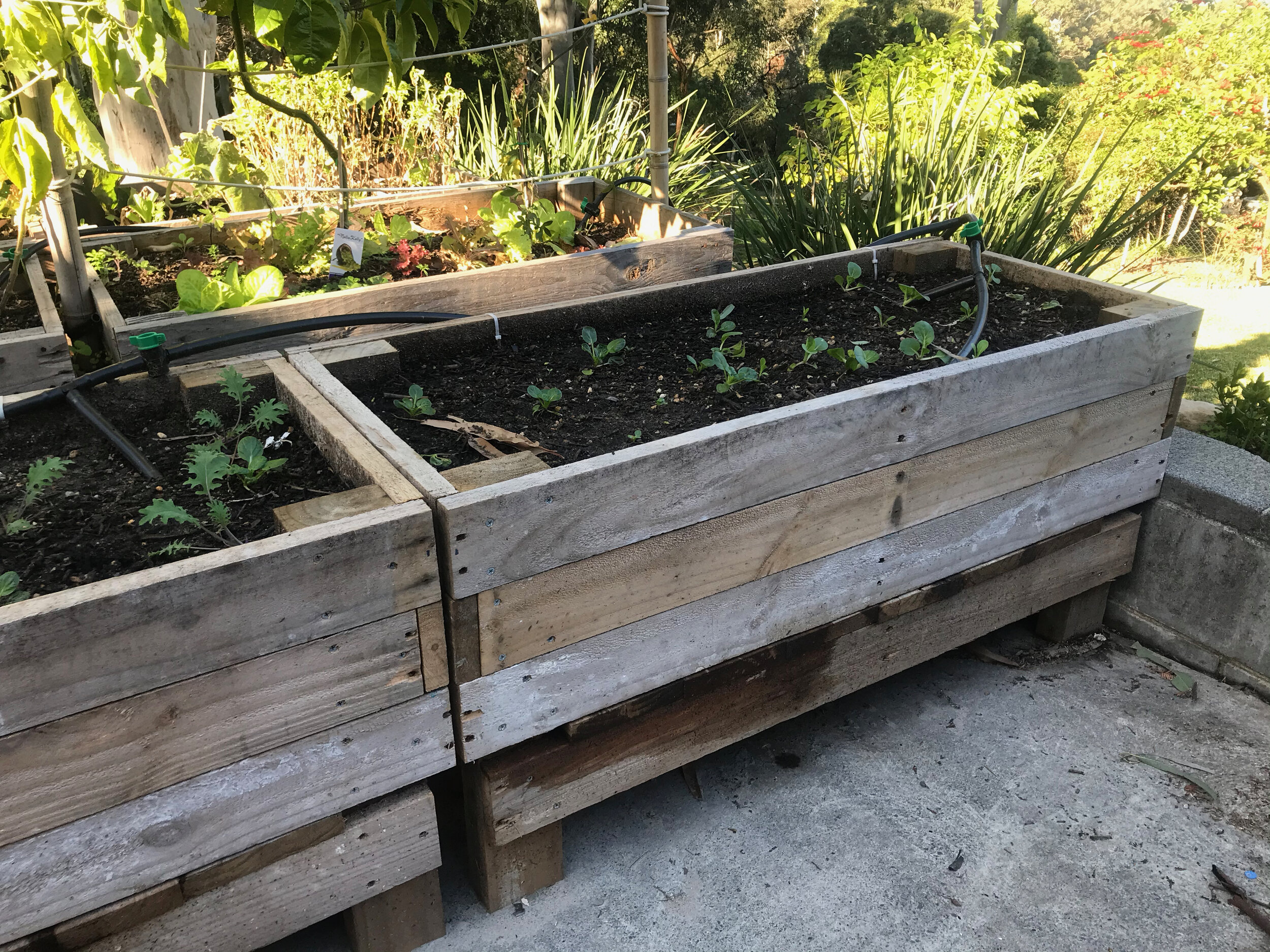 Standard Planter W100cm x D50cm x H70cm $150The planters are made from recycled shipping pallets. There are lots of pallets around. Some are heat treated; some are painted, some have been treated with pesticides. We make sure to ONLY use the heat-tr…