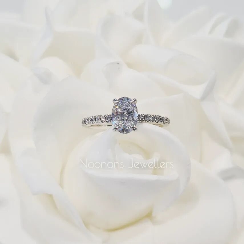 Noonan's really are your diamond 💎 destination. 
#diamonddestination #diamonds #diamondring #engagementring #engagementgoals #bridal #bridaljewellery #sayyes #cobramjeweller #noonansshowcasejewellers #cobram